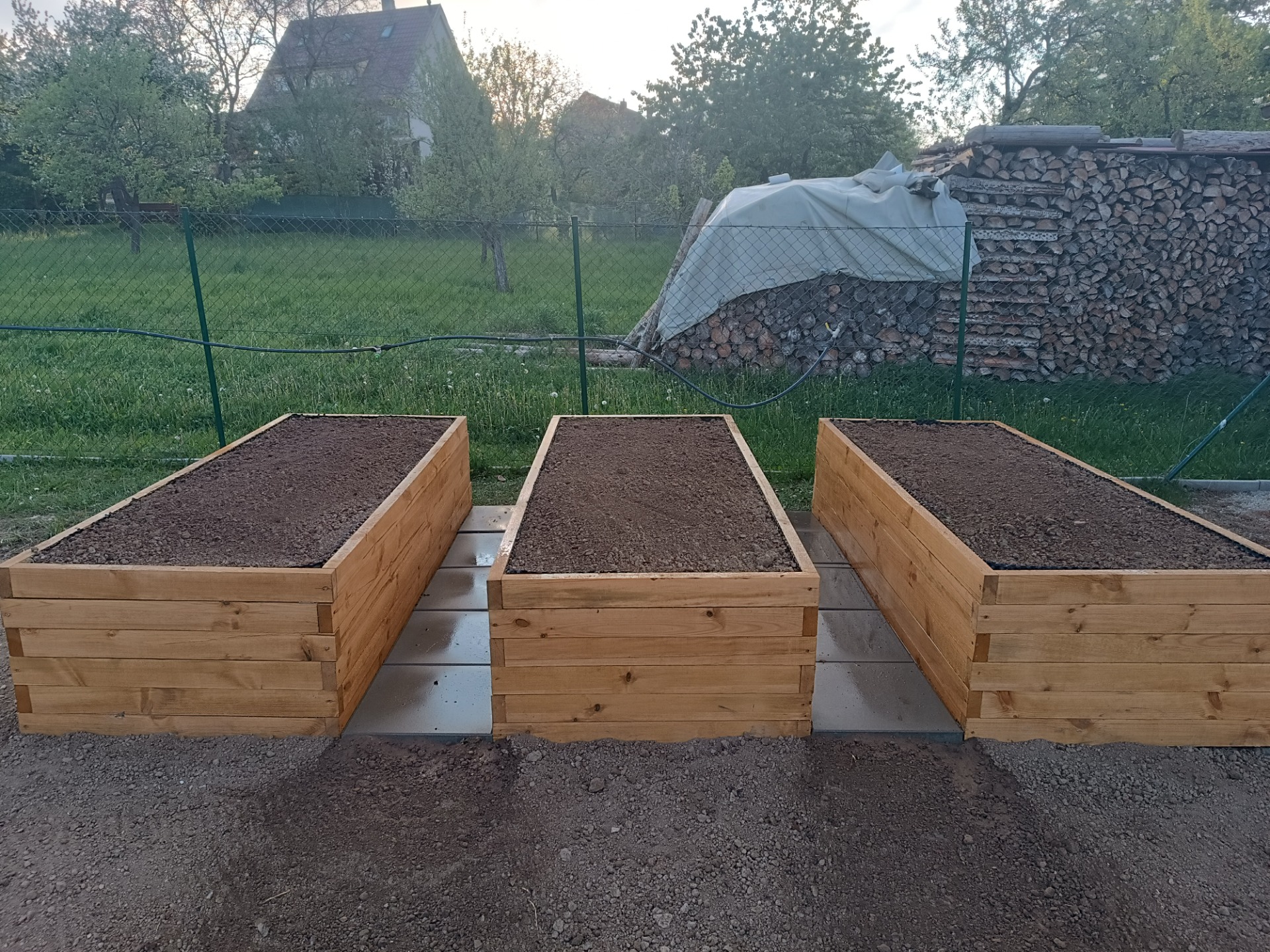  Odstín - borovice, stáří 2 roky, Rozměry 2500x1000x600mm