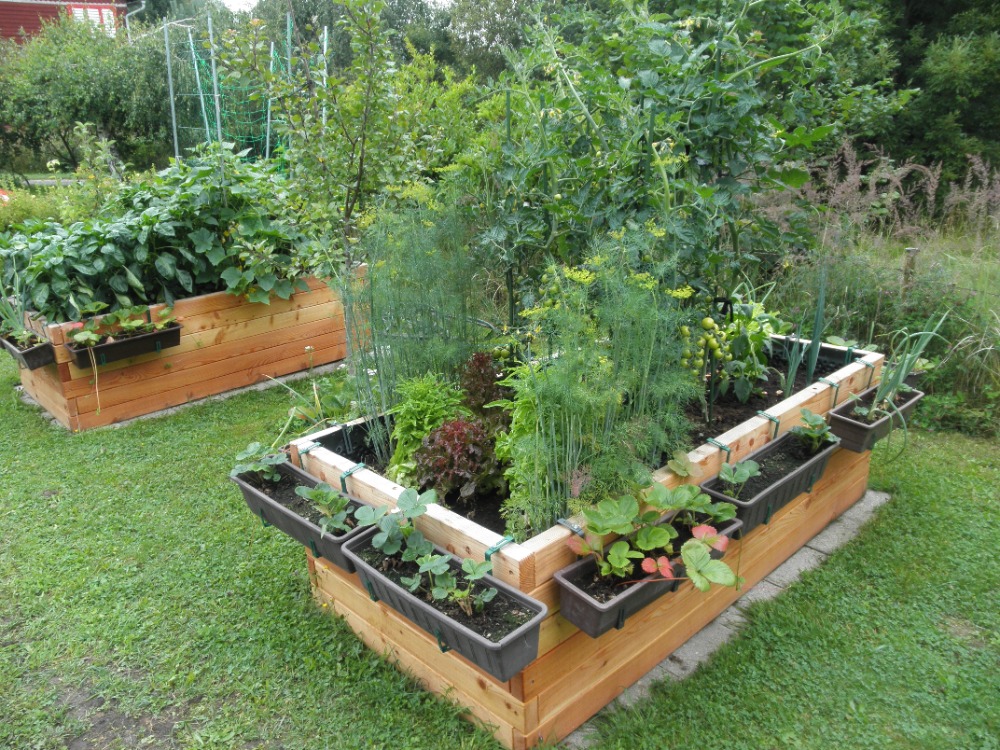 Odstín bezbarvý -Modřin 