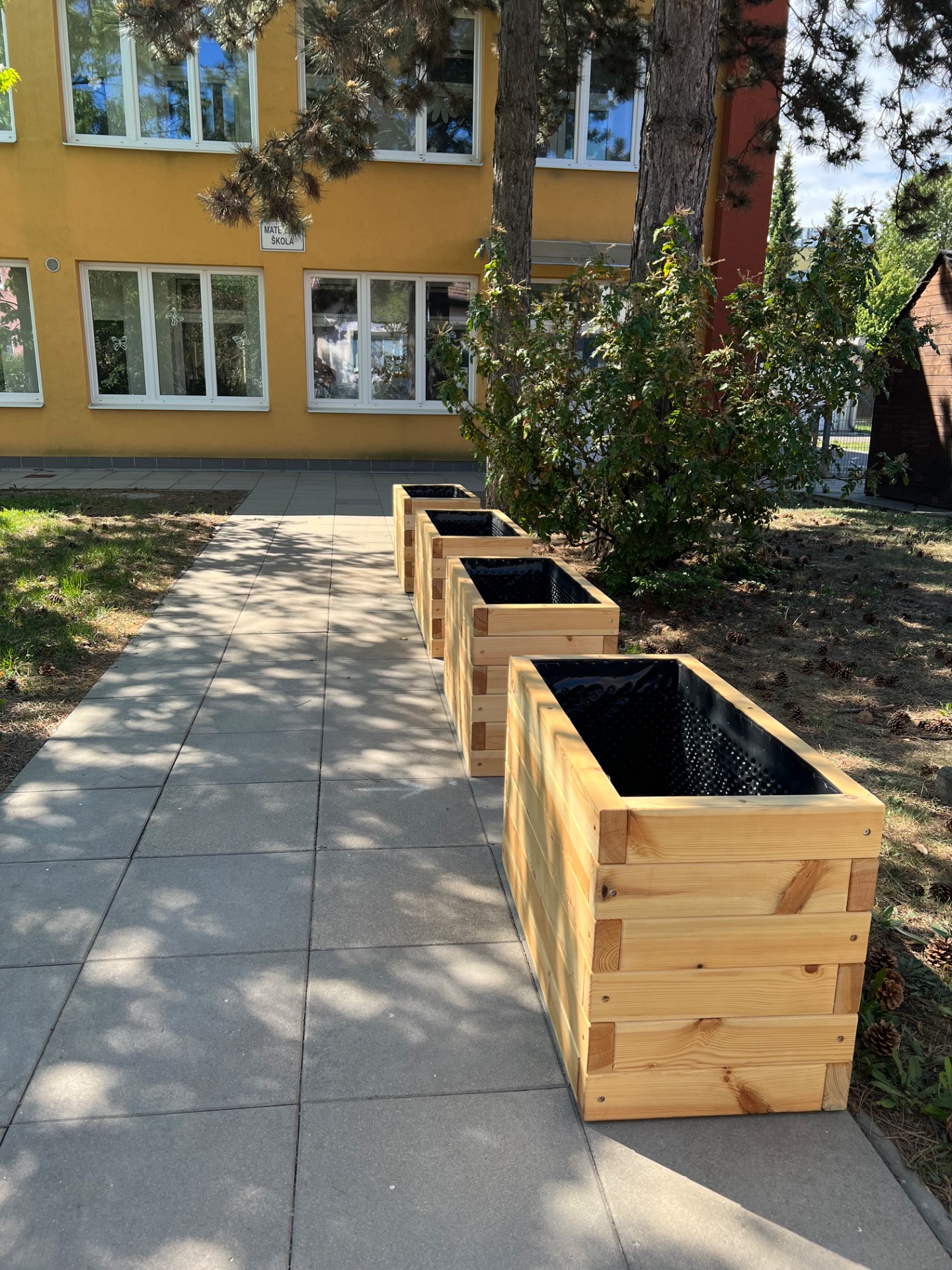 Odstín bezbarvý -Borovice