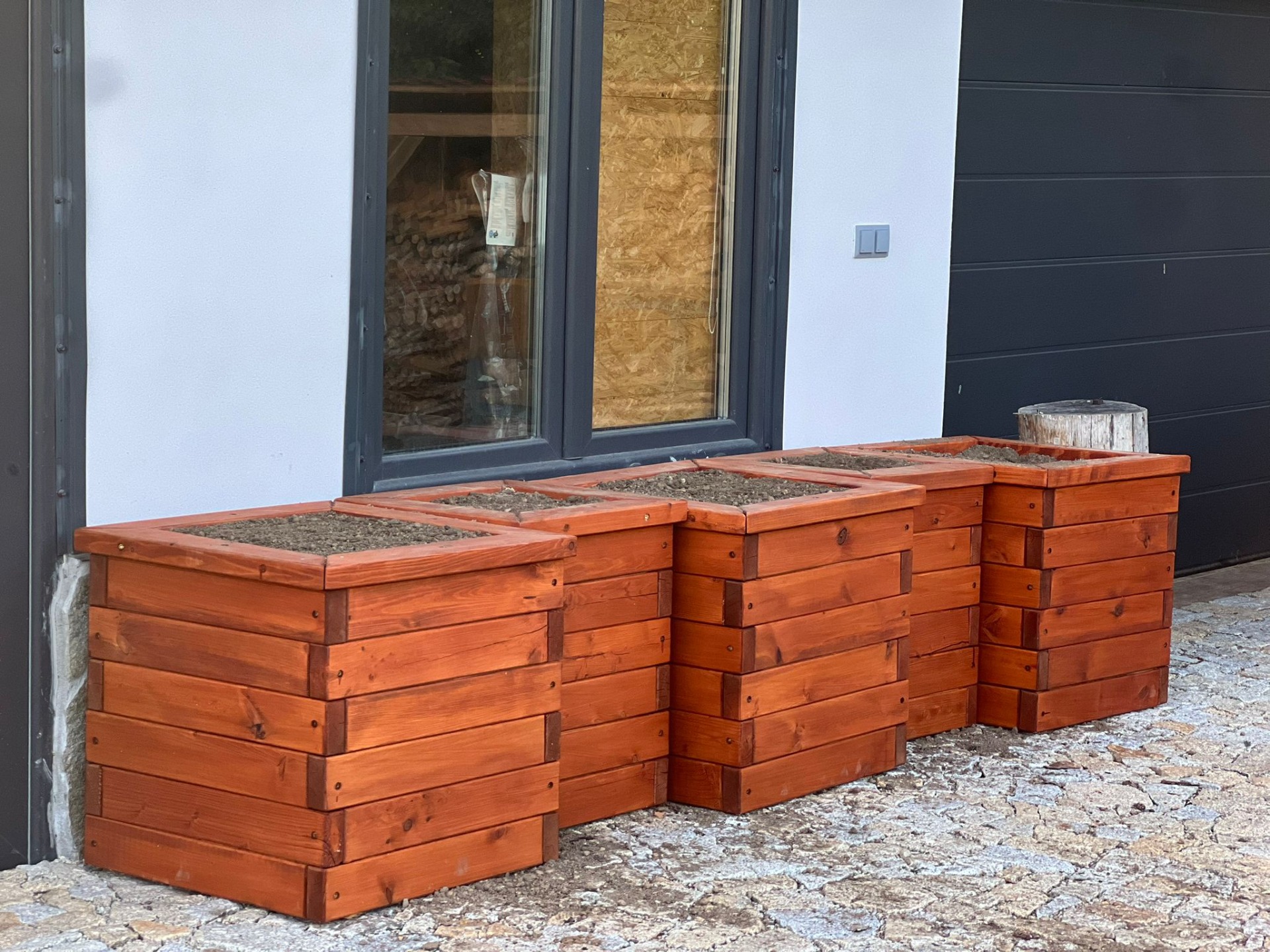 Borovice třešeň, pinie