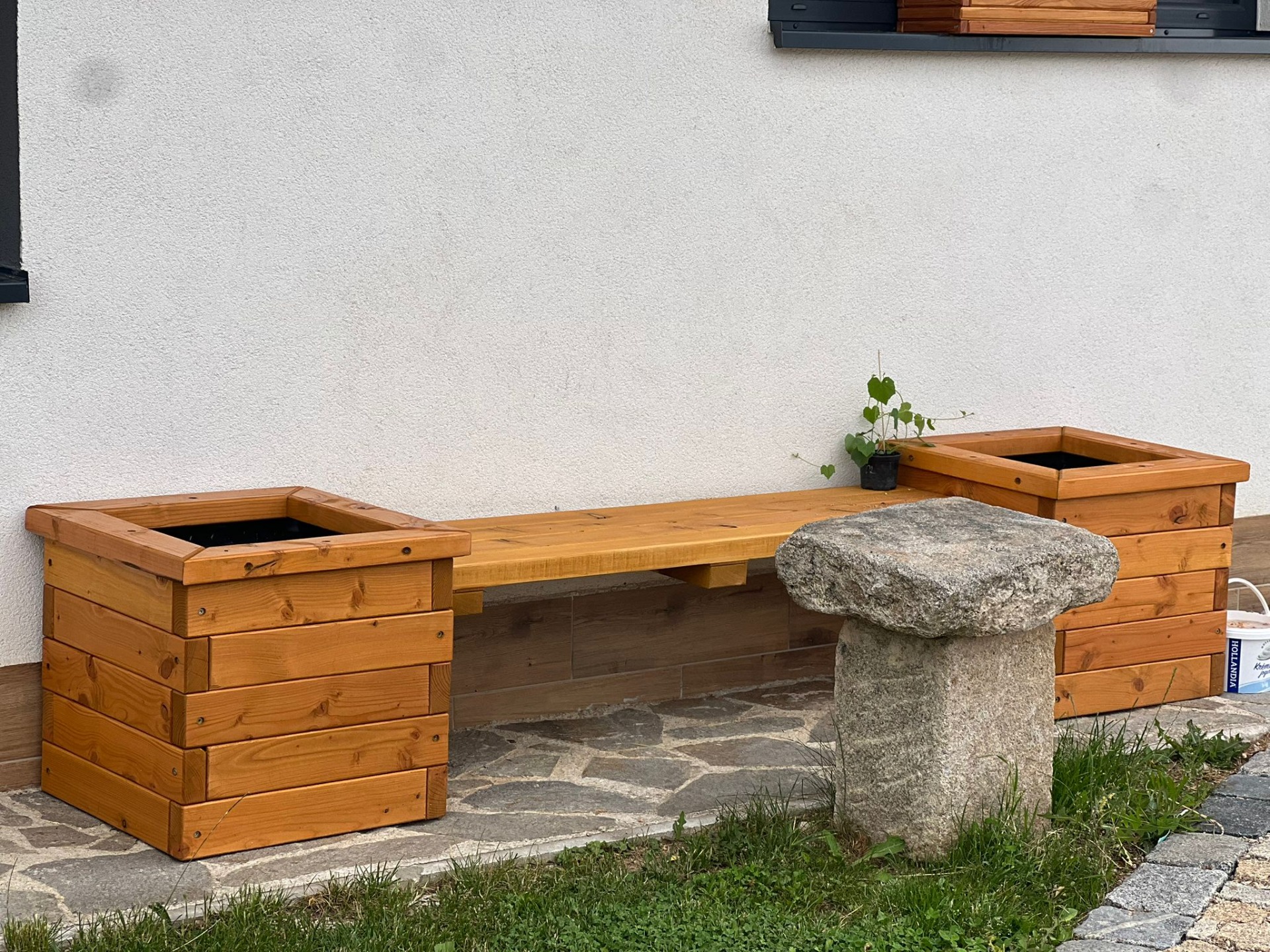 Lavička borovice pinie