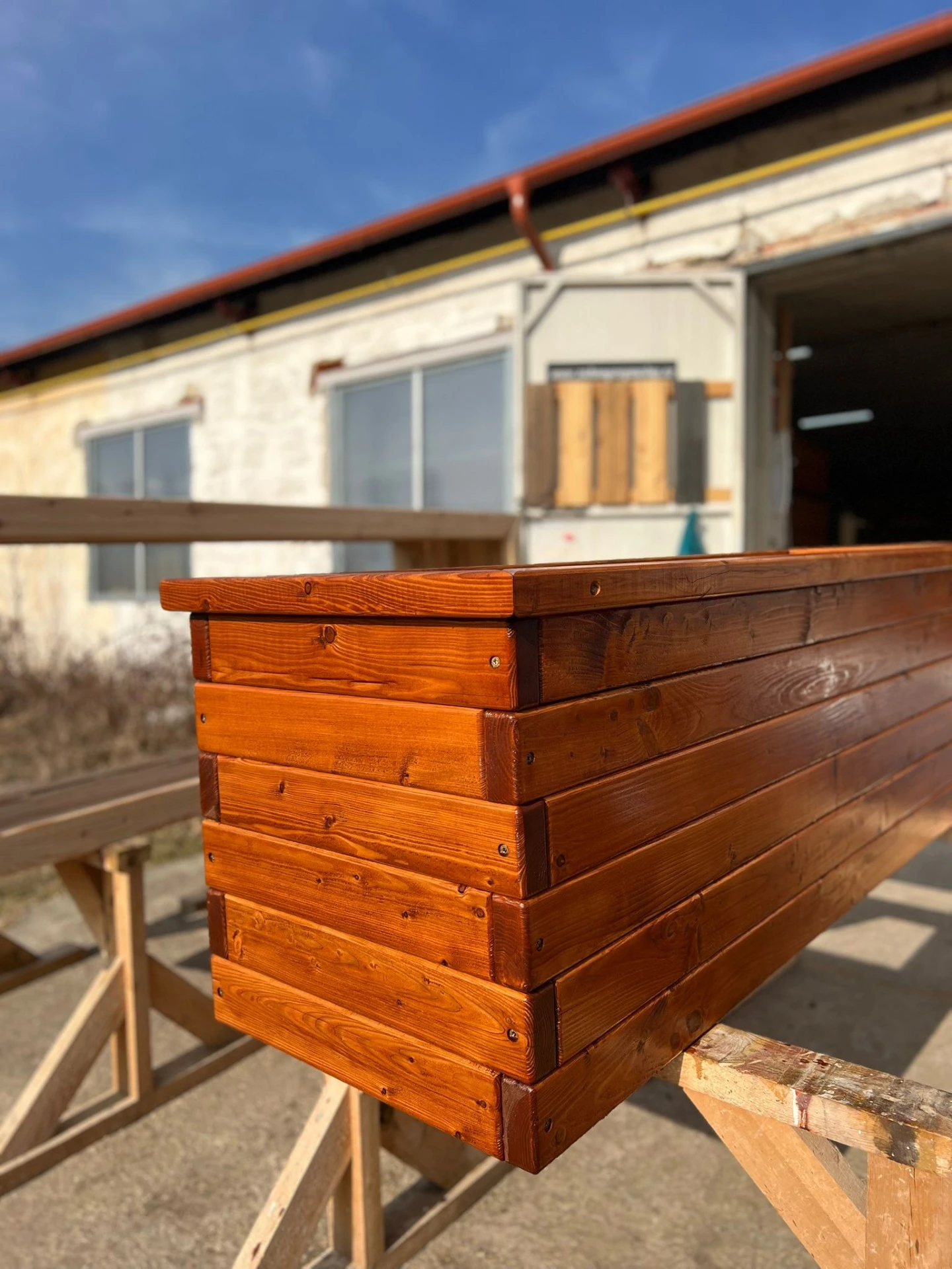 Borovice - palisandr