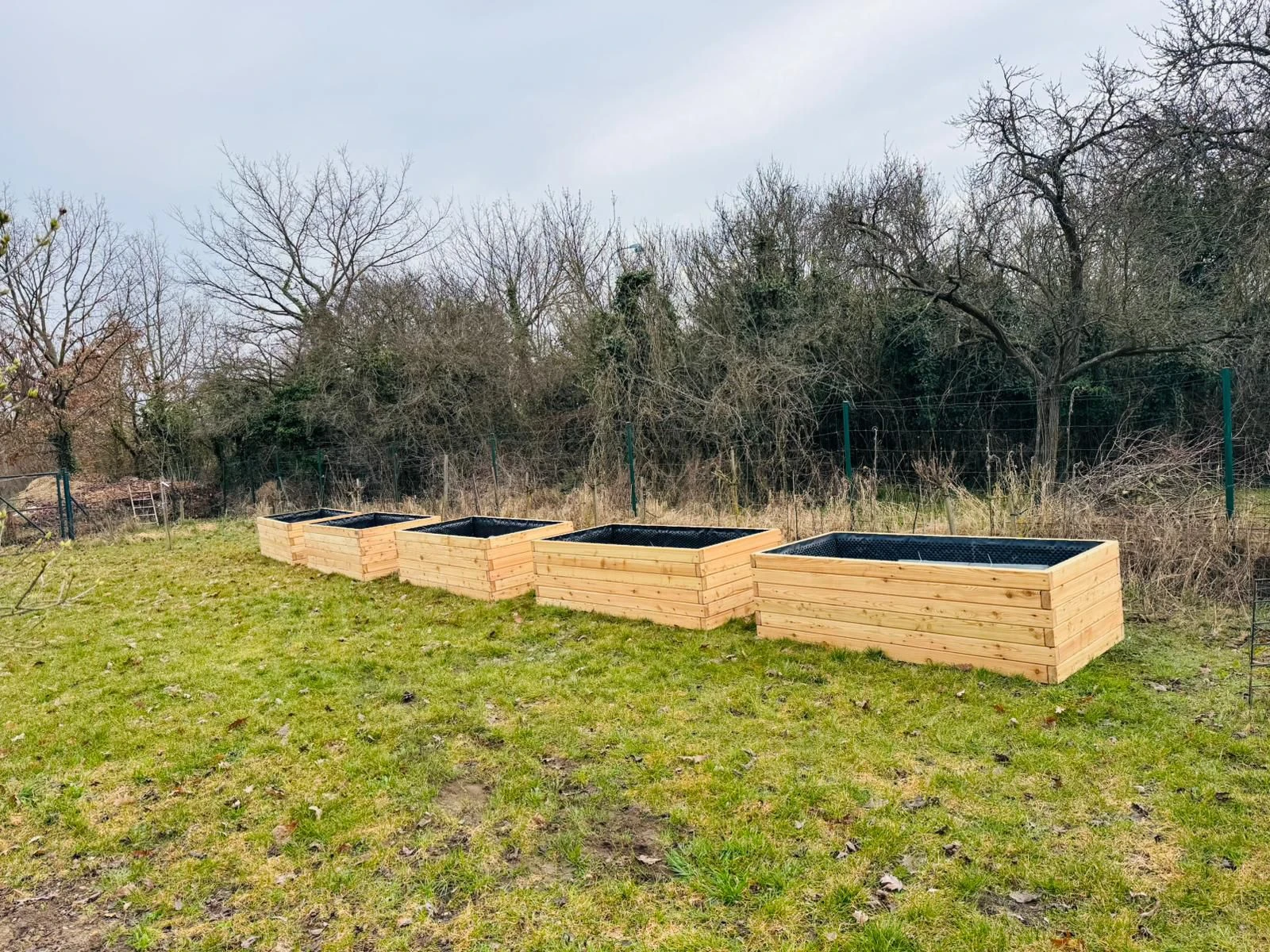 MMdřín - exlusive kaštan